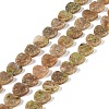 Natural Unakite Beads Strands G-K362-H01-01-1