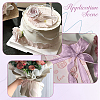 1Bag Organza Ribbon ORIB-CY0001-04B-4