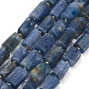Natural Kyanite/Cyanite/Disthene Beads Strands GG-CBAF9EE-B01-01-2