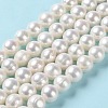 Natural Cultured Freshwater Pearl Beads Strands PEAR-E018-03-2