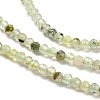 Natural Prehnite Beads Strands G-B107-A07-02-4