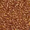 TOHO Round Seed Beads SEED-XTR08-1853-2