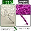 12/0 Grade A Round Glass Seed Beads SEED-Q010-F533-2