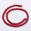 Imitation Synthetic Turquoise Bead Strands G-F434-6mm-01-2