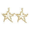 Alloy Big Pendants FIND-Z095-10G-1