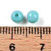 Opaque Solid Color Glass Beads X1-GLAA-N007-4mm-A03-3