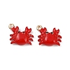 Brass Alloy Charms X-KK-R226-15G-02-1