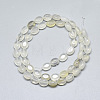 Natural White Agate Beads Strands G-S357-B10-2