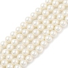 Round Shell Pearl Beads Strands BSHE-XCP0001-40B-2