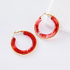 304 Stainless Steel Resin Hoop Earrings for Women KT0951-4-1