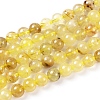 Natural Gold Rutilated Quartz Beads Strands X-G-S150-17-8mm-3