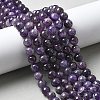 Natural Amethyst Beads Strands G-M445-8MM-01G-1