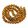 Baking Paint Transparent Glass Beads Strands LS-DGLA-A035-T10mm-A05-3