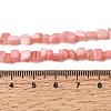 Natural Freshwater Shell Beads Strands SHEL-A006-07-4