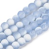 Frosted Crackle Glass Beads Strands GLAA-U001-8mm-M14-1