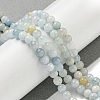 Natural Aquamarine Beads Strands G-K310-C06-4mm-5