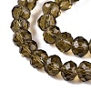 Glass Beads Strands EGLA-A034-T10mm-D16-4
