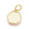 Golden Plated Brass Charms ENAM-L028-001-3
