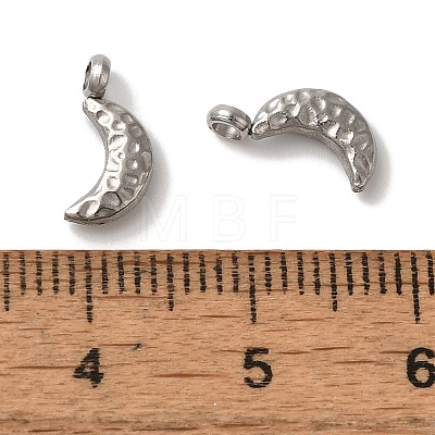 Non-Tarnish 304 Stainless Steel Charms STAS-M017-03P-1