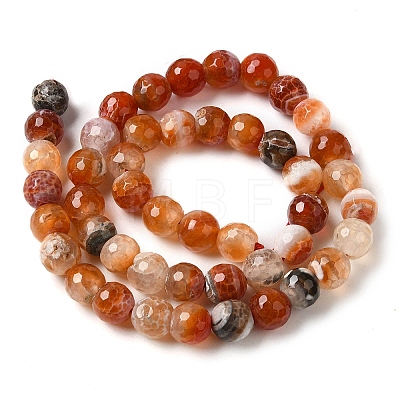 Dyed & Heated Natural Fire Crackle Agate Beads Strands G-P539-B01-19-1