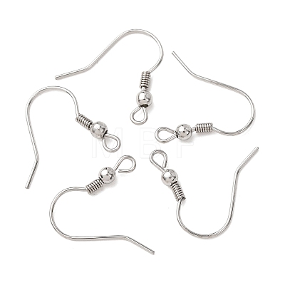 Tarnish Resistant 316 Surgical Stainless Steel Earring Hooks X-STAS-E009-1-1