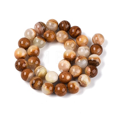 Natural Wood Lace Stone Wooden Jasper Beads Strands G-B128-A04-05-1