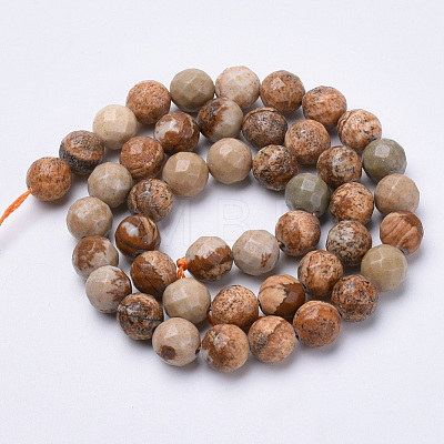 Natural Picture Jasper Beads Strands G-S281-01-8mm-1