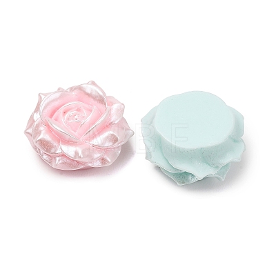 Opaque Resin Beads RESI-D026-02-1