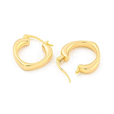 Brass Hoop Earrings for Women EJEW-K286-04G-1