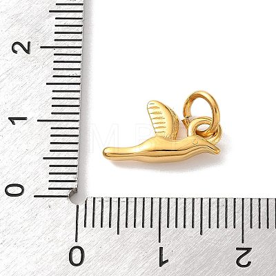 304 Stainless Steel Charms STAS-A152-02C-G-1