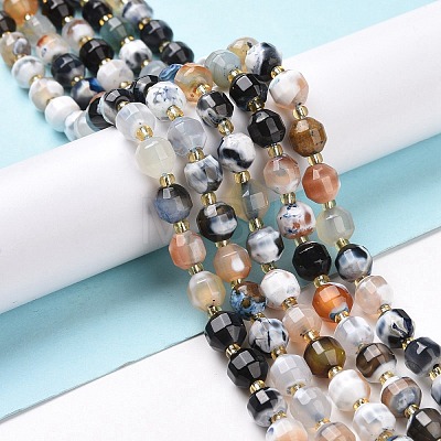 Natural Fire Agate Beads Strands G-I338-03-1