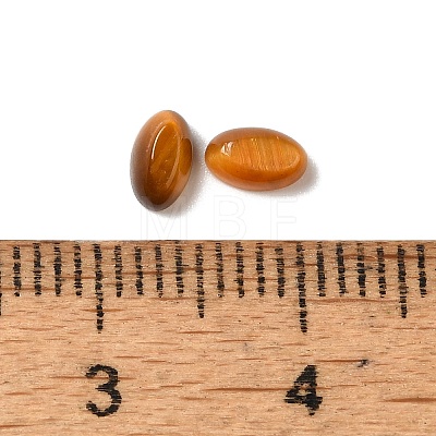 Natural Tiger Eye Cabochons G-F772-01A-10-1