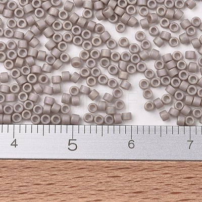 MIYUKI Delica Beads X-SEED-J020-DB2305-1