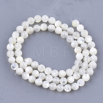 Natural White Shell Beads SHEL-T012-49C-1