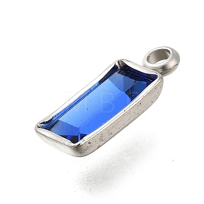 304 Stainless Steel Rhinestone Pendants STAS-Z125-12G-P-1
