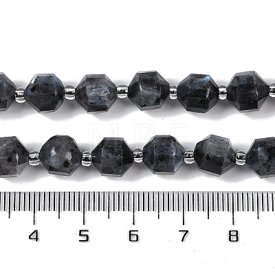 Natural Larvikite Beads Strands G-O201B-128F-1