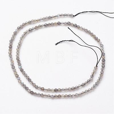 Natural Labradorite Bead Strands G-P213-38-2mm-1