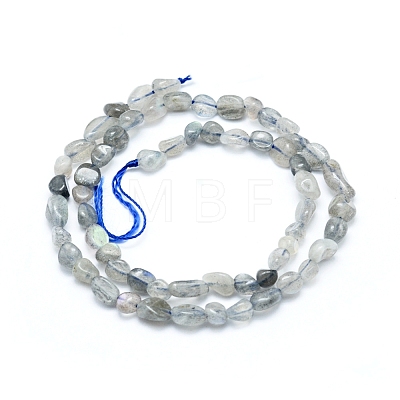 Natural Labradorite Beads Strands G-L550A-06-1