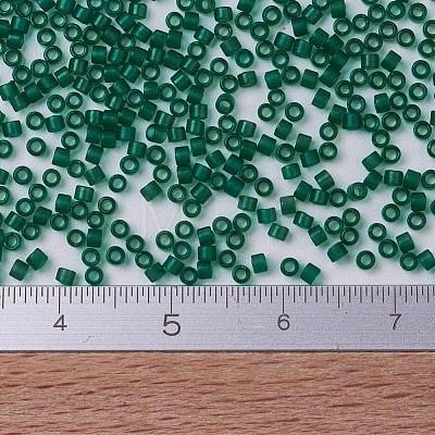 MIYUKI Delica Beads X-SEED-J020-DB0776-1