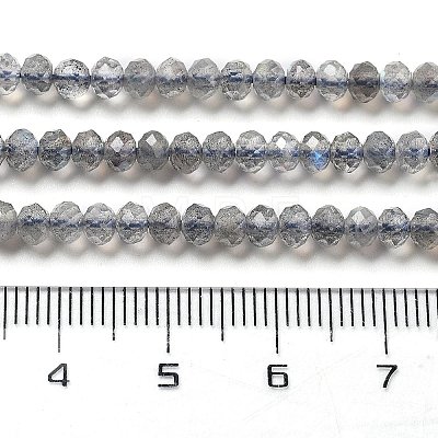 Natural Labradorite Beads Strands G-G161-B21-01-1