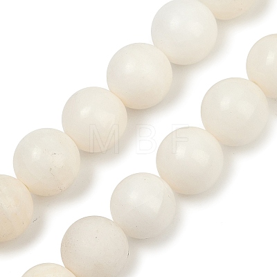 Natural White Shell Beads Strands BSHE-U001-01C-1