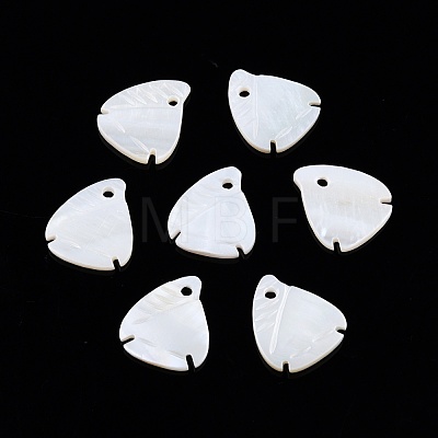 Natural Freshwater Shell Charms SHEL-N026-202-1