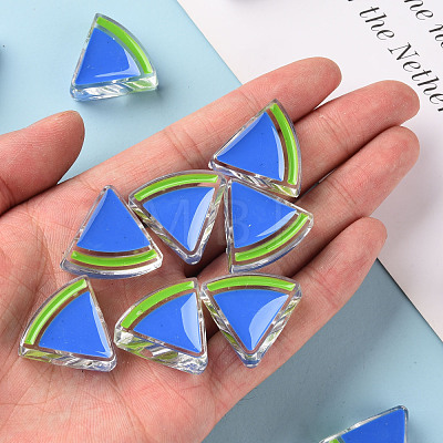 Transparent Enamel Acrylic Beads TACR-S155-001K-1
