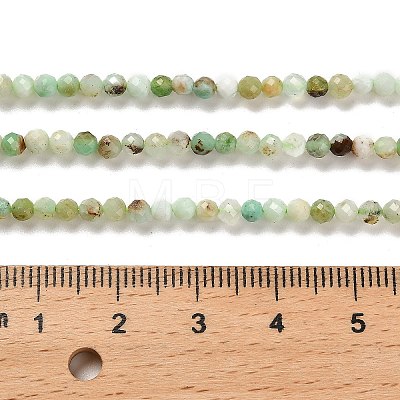 Natural Serpentine Beads Strands G-B107-A05-03-1