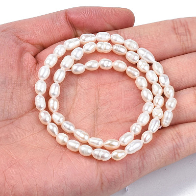 Natural Cultured Freshwater Pearl Beads Strands PEAR-N012-04B-1