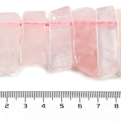 Natural Rose Quartz Beads Strands G-L551B-17-1