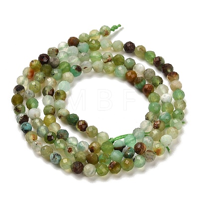 Natural Serpentine Beads Strands G-B107-A05-05-1