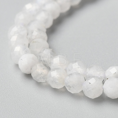 Natural Rainbow Moonstone Beads Strands LS-G-O186-D02-01-1