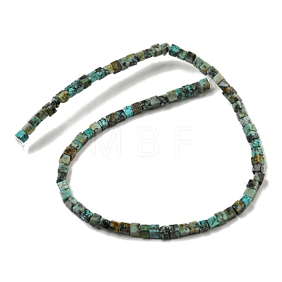 Natural African Turquoise(Jasper) Beads Strands G-F631-K24-1