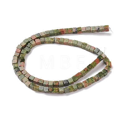 Natural Unakite Beads Strands X-G-F631-K19-1